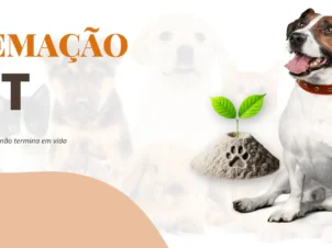 Cremação Pet em Salvador | Assistência Funerária Pet | Crematória para animais em salvador