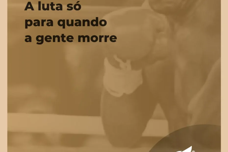 A luta só para quando a gente morre