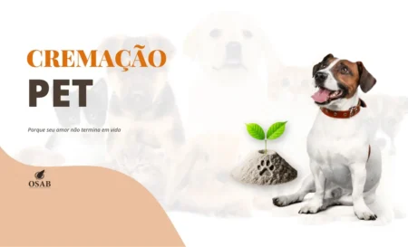 Cremação Pet em Salvador | Assistência Funerária Pet | Crematória para animais em salvador