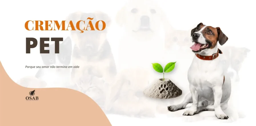 Cremação Pet em Salvador | Assistência Funerária Pet | Crematória para animais em salvador