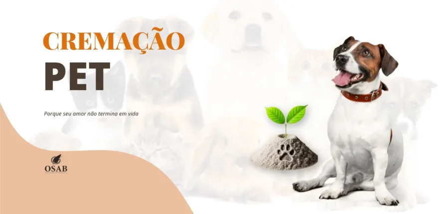 Cremação Pet em Salvador | Assistência Funerária Pet | Crematória para animais em salvador {{brizy_dc_image_alt entityId=