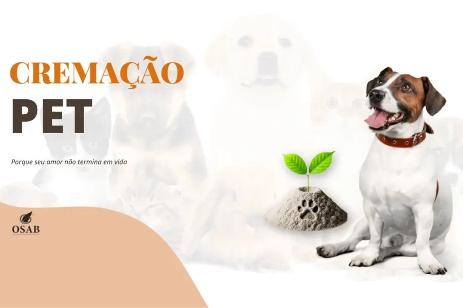 Cremação Pet em Salvador | Assistência Funerária Pet | Crematória para animais em salvador